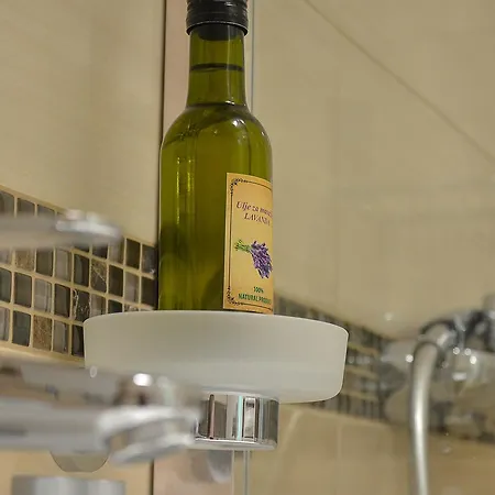 A9 Lux Apartment Banja Koviljaca