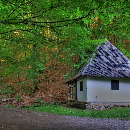 A9 Lux Apartment Banja Koviljaca