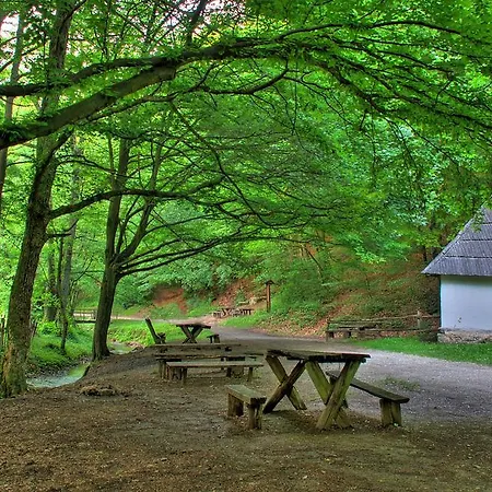 A9 Lux Apartment Banja Koviljaca