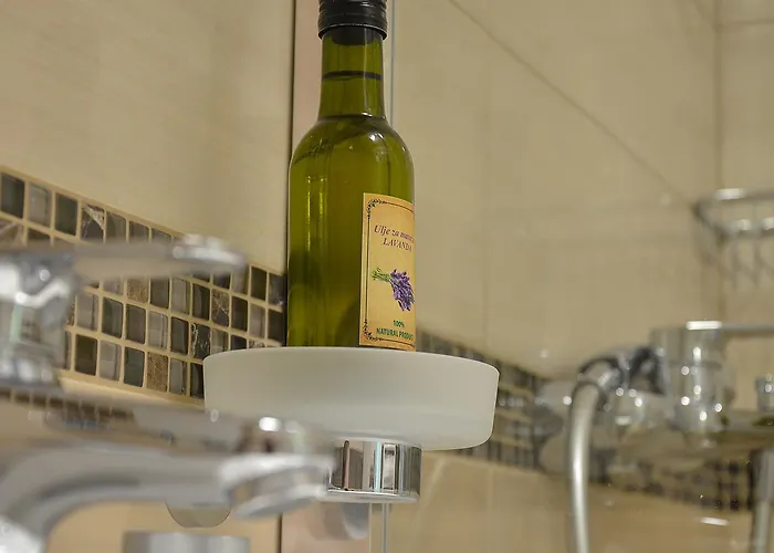 A9 Lux Apartmán Banja Koviljača