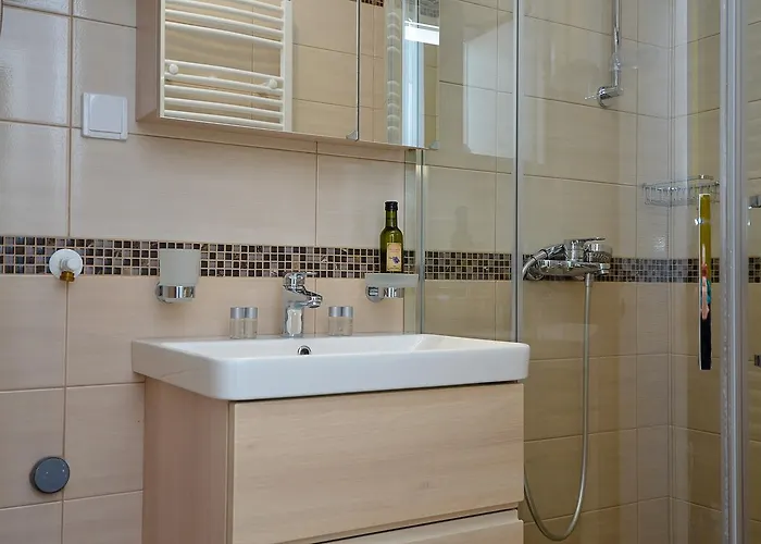 A9 Lux Banja Koviljača