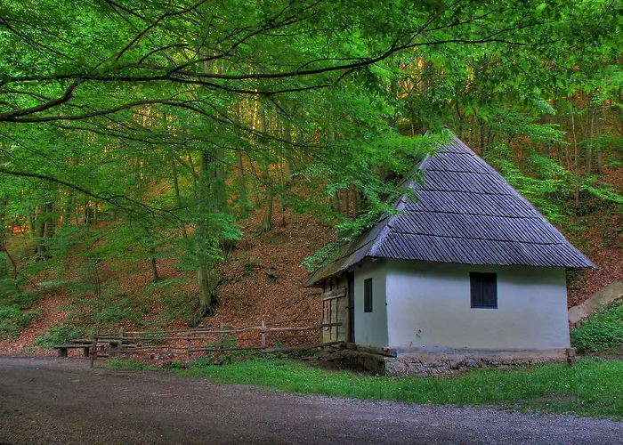 A9 Lux Apartmán Banja Koviljača
